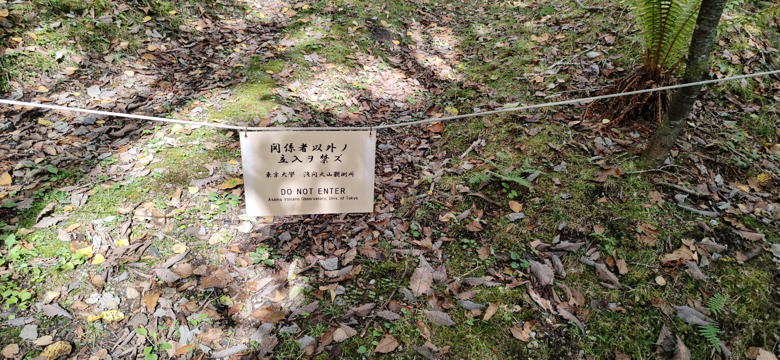 end
